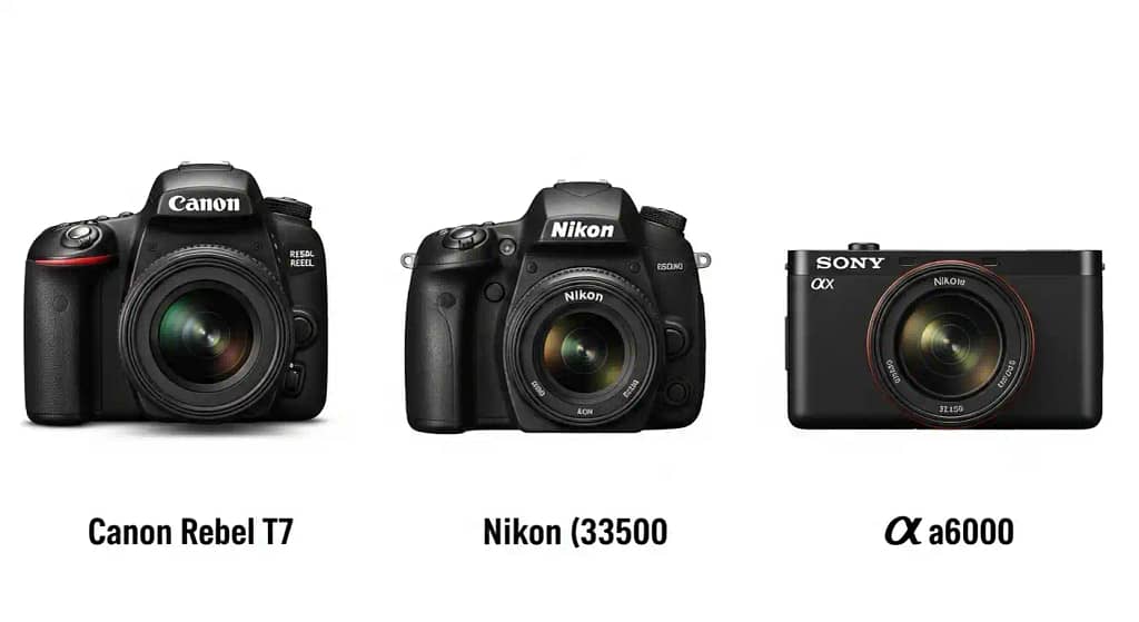 Comparison chart of Canon Rebel T7, Nikon D3500, Sony a6000 – top budget digital cameras under $500 in 2025